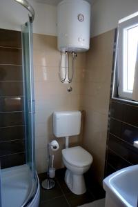 La salle de bains est pourvue de toilettes, d'un lavabo et d'une douche. dans l'établissement Apartments Sanja, à Jezera