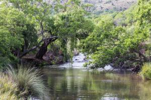 Un río con árboles a sus orillas en Rivendell Trout Estate, en Lydenburg
