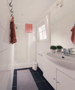 een witte badkamer met een wastafel en een douche bij Korhoen 4 persons in Rijssen