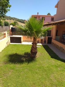 a palm tree in the yard of a house at Villa Solanas in Solanas