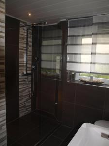 a bathroom with a shower with a toilet and a sink at SC Apartment - Nürnberg Messe / Fränkisches Seenland in Schwabach