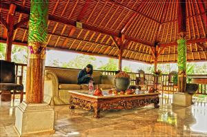 TV a/nebo společenská místnost v ubytování Bumi Ubud Resort