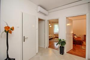 Fotografie z fotogalerie ubytování Apartments Grozdana - Pescivica v destinaci Baška