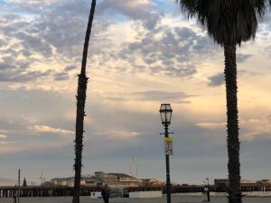 dos palmeras y una luz de la calle en la playa en Ala Mar by the Sea, en Santa Bárbara