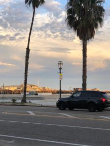 un'auto nera che guida lungo una strada con palme di Ala Mar by the Sea a Santa Barbara