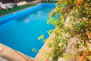 una piscina con acqua blu in un cortile di Cuevas de Rolando a Guadix
