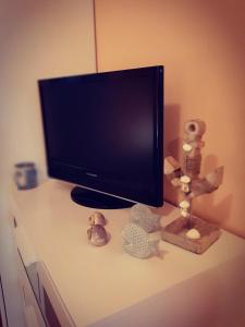 TV a/nebo společenská místnost v ubytování Apartments Luza
