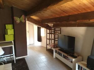 a living room with a tv and a butterfly on the wall at Gite en Cevennes 4 personnes in Ponteils-et-Brésis +1 photo