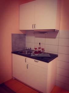 Kuchyň nebo kuchyňský kout v ubytování Apartments Luza