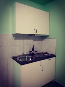 Kuchyň nebo kuchyňský kout v ubytování Apartments Luza