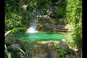 een waterval midden in een zwembad van groen water bij Tutti Frutti in Pompeiana