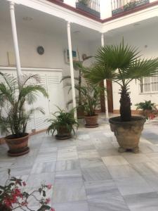 Fotografia z galérie ubytovania Residencial Casa Palacio v destinácii Sanlúcar de Barrameda