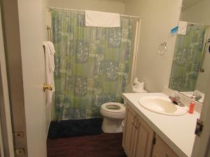 a bathroom with a sink and a toilet and a shower at Casita in Pahrump