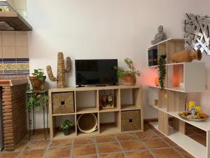 Μια τηλεόραση ή/και κέντρο ψυχαγωγίας στο Apartamento con terraza en el Albaicin