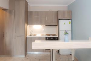 Кухня или мини-кухня в Theoxenia Chios Apartments
