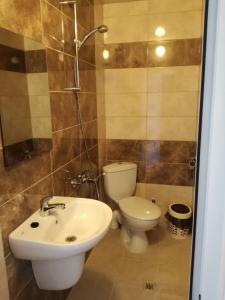 a bathroom with a toilet and a sink at Къща Генчеви in Sarnitsa +12 photos