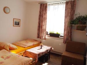 a room with two beds and a window at Penzion Bližanovy in Plánice