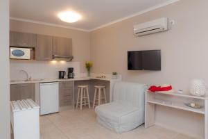 Кухня или мини-кухня в Theoxenia Chios Apartments
