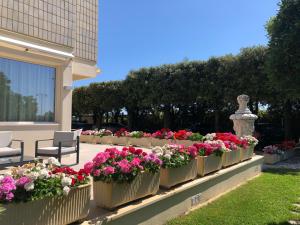 Zahrada ubytování Hotel Atlantico