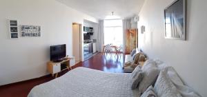uma sala de estar com uma cama e uma televisão em Recoleta Apart Swim & Relax em Buenos Aires