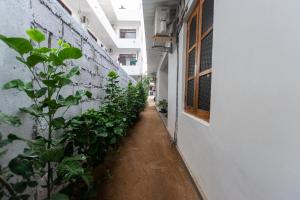 תמונה מהגלריה של The Surf Access Guest House בארוגם ביי