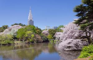 a river with flowering trees and a building in the background at Sakura Cross Hotel Shinjuku East in Tokyo