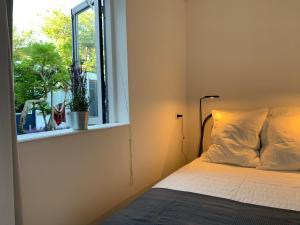 a bedroom with a bed and a window with a plant at New City Garden view 5min TU Delft central room bentley utopia in Delft