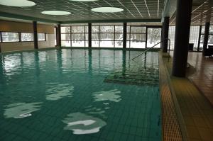 een zwembad met de reflectie van mensen in het water bij Resort Bad Boekelo in Boekelo