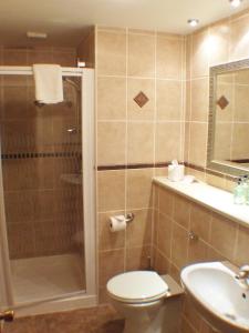 a bathroom with a toilet, sink and shower at Tayside Hotel in Stanley