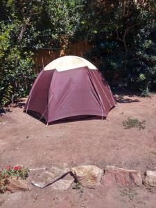 Fotografie z fotogalerie ubytování Les Bambous, camping naturiste v destinaci Ile du Levant
