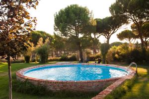 a swimming pool in a yard with trees at Posada Real del Pinar in Pozal de Gallinas