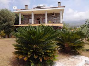 a house with two palm trees in front of it at Bahar Bahce Datca in Mesudiye