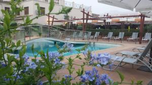 una piscina con flores azules frente a un edificio en Hotel Sierra Hidalga, en Ronda
