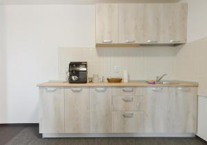 Virtuvė arba virtuvėlė apgyvendinimo įstaigoje Pension Verona Centru