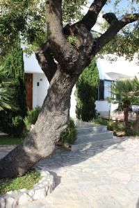 Zahrada ubytování Apartments Čuljak Rab