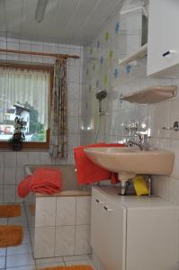La salle de bains est pourvue d'un lavabo et d'une baignoire. dans l'établissement Haus Freispitzblick, à Bach