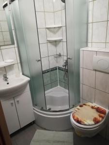 Koupelna v ubytování Apartmani Babić Vir