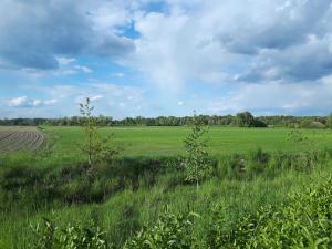 un campo de hierba con un cielo azul y nubes en Pension Marina, en Lauta Dorf