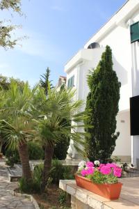 Zahrada ubytování Apartments Čuljak Rab