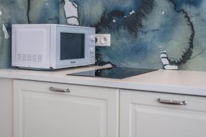 Kuchyňa alebo kuchynka v ubytovaní Apartamenty Czwarte Piętro