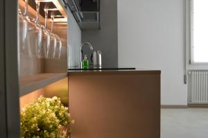 - une cuisine avec un évier et un comptoir dans l'établissement C-Apartment Zabarella terrace, à Padoue