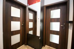 Fotografia z galérie ubytovania Apartament Lublin Stare Miasto "Wild Cat" v destinácii Lublin