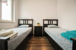 Posteľ alebo postele v izbe v ubytovaní Apartament Lublin Stare Miasto "Wild Cat"