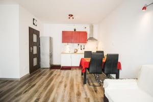 Kuchyňa alebo kuchynka v ubytovaní Apartament Lublin Stare Miasto "Wild Cat"