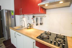 Kuchyňa alebo kuchynka v ubytovaní Apartament Lublin Stare Miasto "Wild Cat"