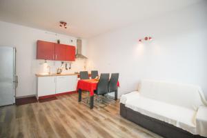 Kuchyňa alebo kuchynka v ubytovaní Apartament Lublin Stare Miasto "Wild Cat"
