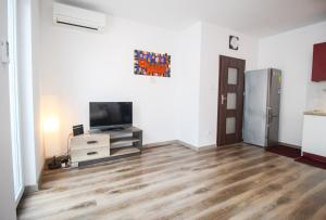 Televízia a/alebo spoločenská miestnosť v ubytovaní Apartament Lublin Stare Miasto "Wild Cat"