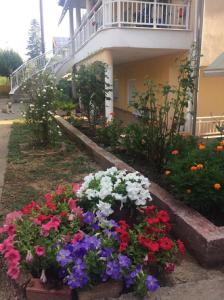 A garden outside PLAZA Studios