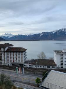 vista su una grande pozza d'acqua con montagne di Appartement rénové Montreux 2-8 personnes a Montreux