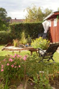 a yard with a rocking chair and flowers at ostseenahe Gartenidylle EG in Ribnitz-Damgarten +4 photos